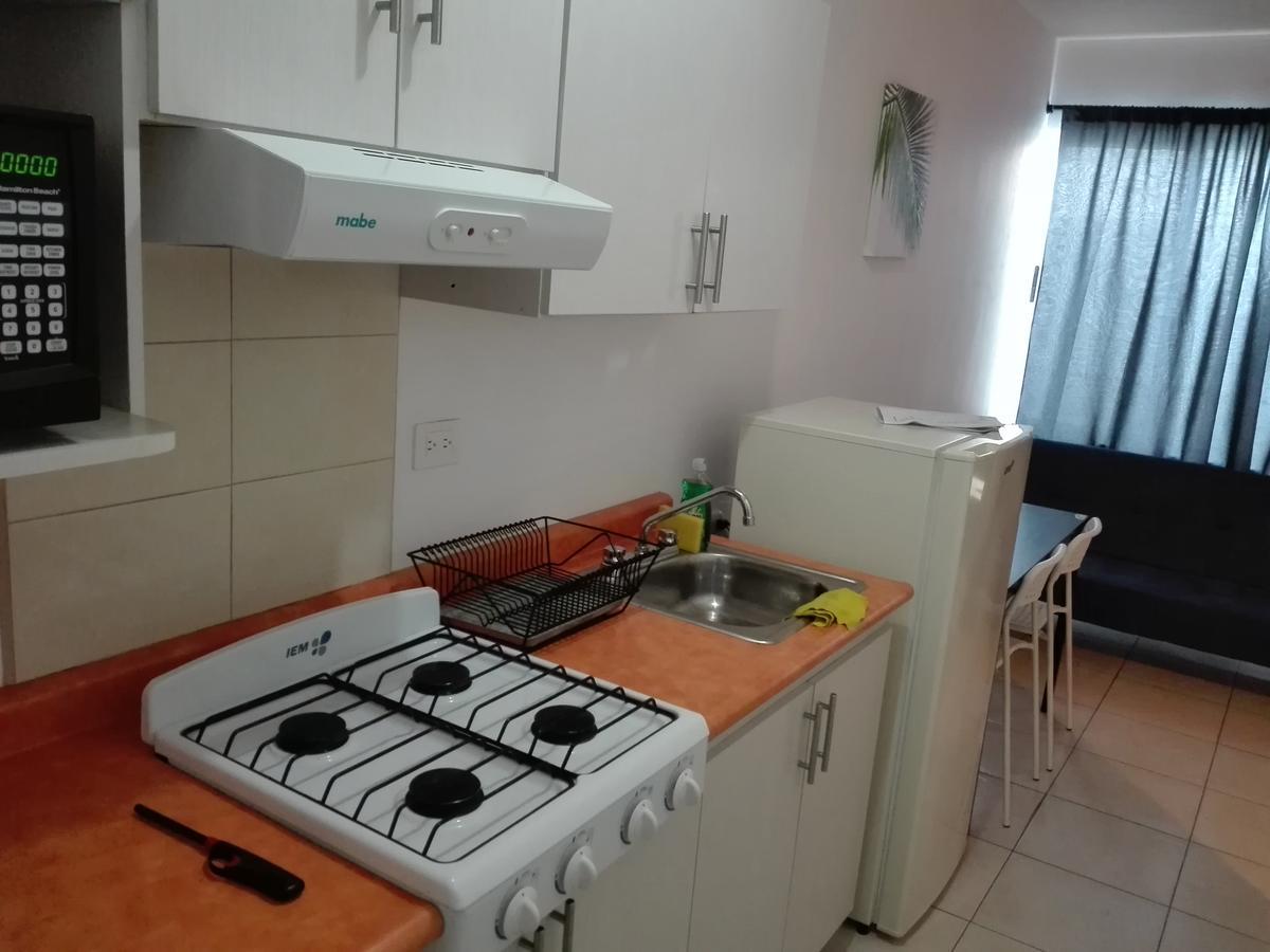 Mv Suites Monterrey Kültér fotó